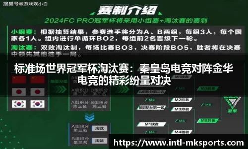 标准场世界冠军杯淘汰赛：秦皇岛电竞对阵金华电竞的精彩纷呈对决